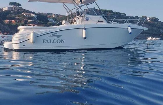 Motorboat Falcon Falcon 225hp