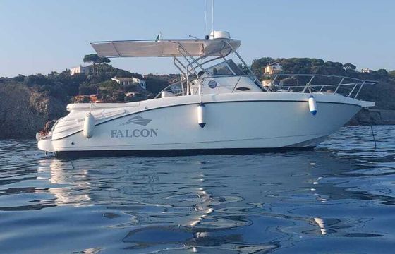 Motorboat Falcon Falcon 225hp