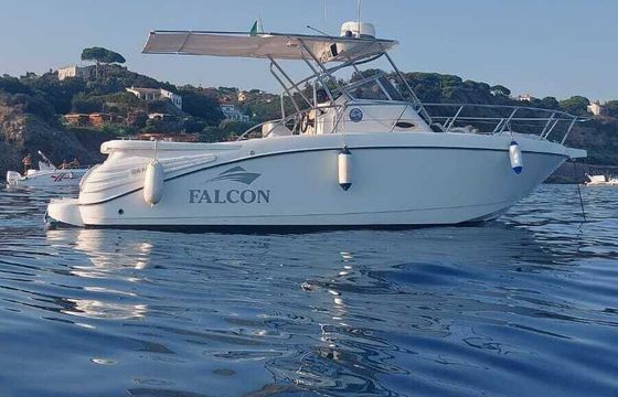 Motorboat Falcon Falcon 225hp