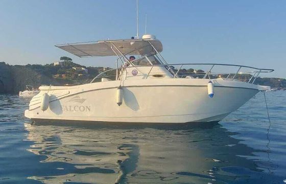 Motorboat Falcon Falcon 225hp