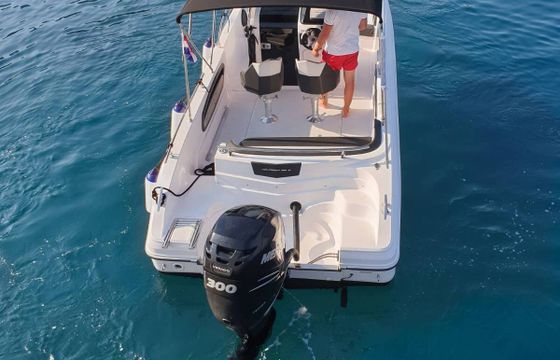 Motorboat Ranieri 26S 250hp
