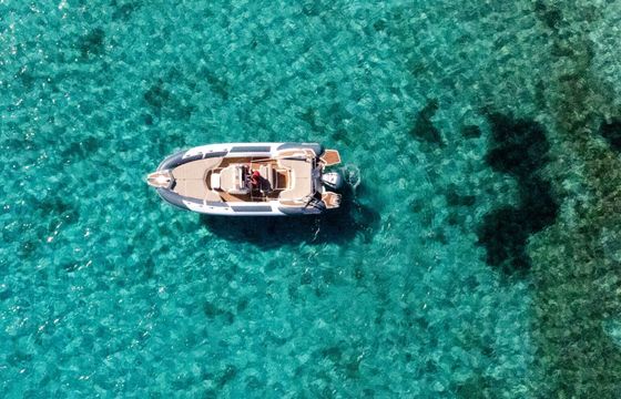 RIB Marlin 790 Pro 250hp