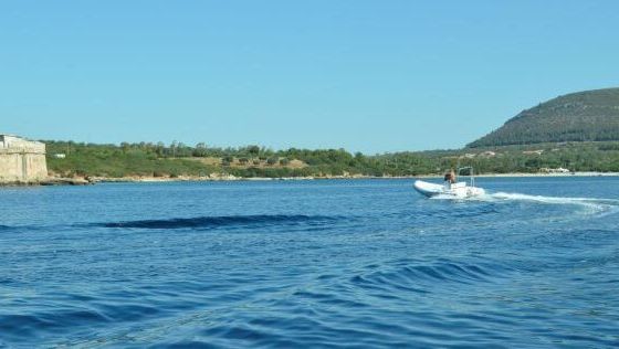 Boat without licence  Seapower GT 5,50 40hp