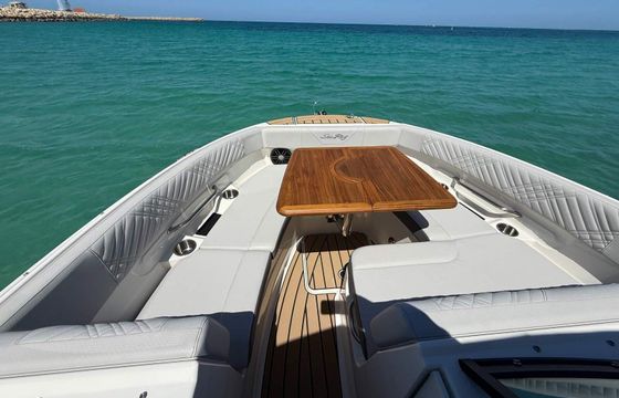 Motorboat Sea Ray 250 sdx 300hp