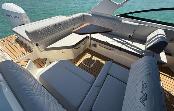 Motorboat Sea Ray 250 sdx 300hp