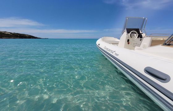 Motorboat Capelli Capelli Tempest 700 225hp