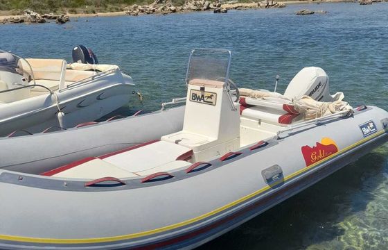 Boat without licence  Bwa BWA 510 40hp