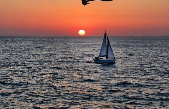Sailboat Camper Nicholson salon de pont 12m