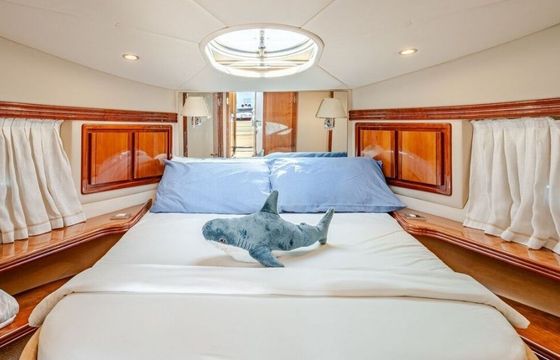 Motorboat Rodman Yacht Flybridge Yachts 740hp