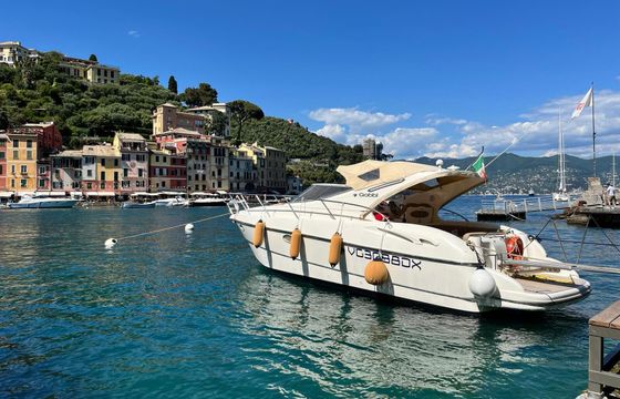 Motorboat Gobbi Gobbi 345 275hp