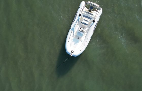 RIB Capelli Capelli Tempest 626 150hp