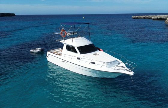 Motorboat Astinor 1000 460hp