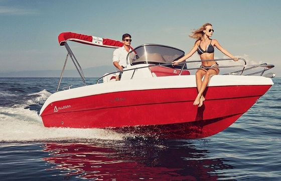 Motorboat Allegra All19sun SUPERBANK 115hp