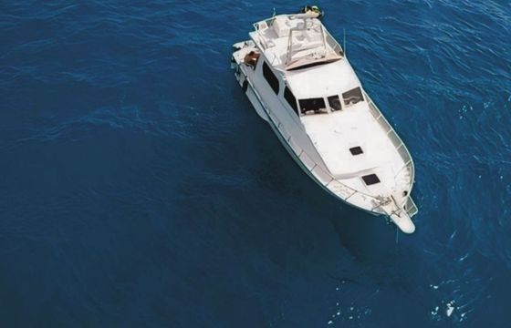 Motorboat DELLA PASQUA FLY DC13 850hp