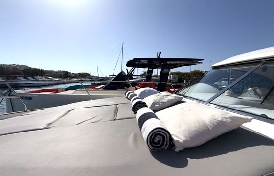 Motorboat Beneteau Flyer 12 800hp