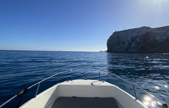 Motorboat Quicksilver Activ 605 Open (2022) 150hp