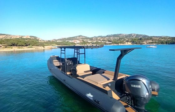 Motorboat Sorreasymarine SP 980 300hp