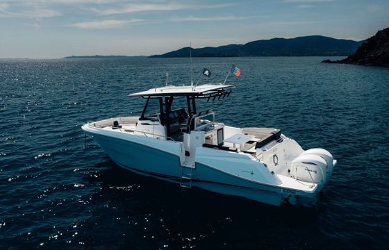 Motorboat Jeanneau Cap camarat 10.5cc 700hp