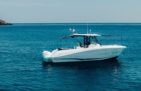 Motorboat Jeanneau Cap camarat 10.5cc 700hp
