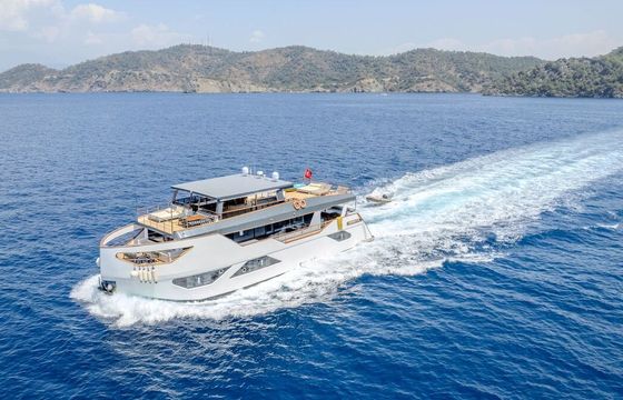 Motor yacht Custom built luxury motor yacht trawler with a capacity of 12 people 1800hp