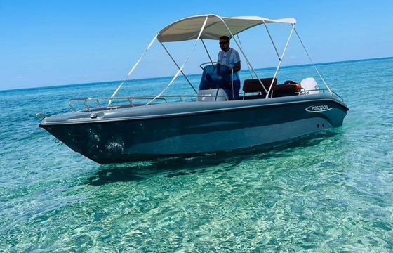 Motorboat Poseidon Blu Water 60hp