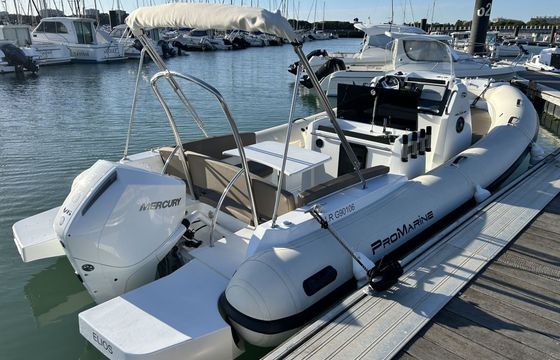 RIB Pro Marine Helios 25 200hp
