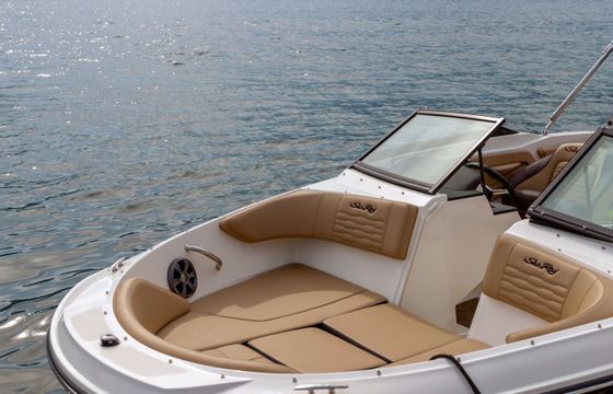 Motorboat Sea Ray 210 Spx 175hp