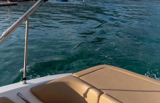 Motorboat Sea Ray 210 Spx 175hp