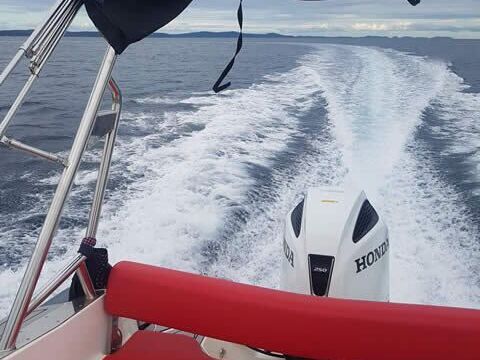 RIB Marlin 790 pro 250hp