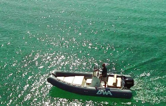RIB Bwa 550 mt 40hp