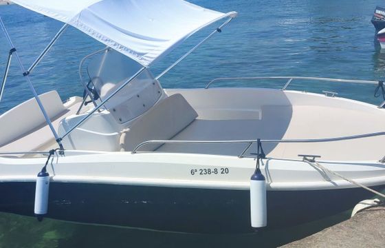 Boat without licence Remus 450 15hp
