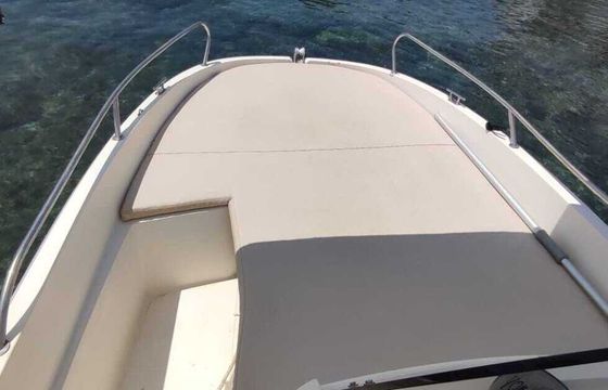 Boat without licence Remus 450 15hp
