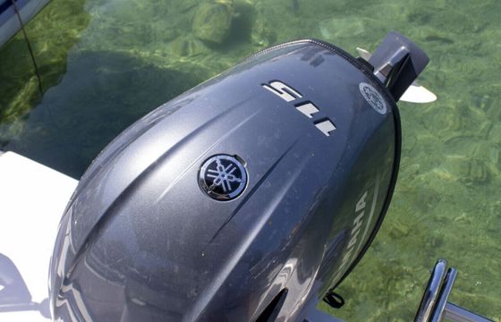 Motorboat Bluline Blumax 19 115hp