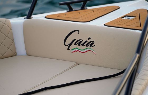 Motorboat Gaia Open 22 150hp