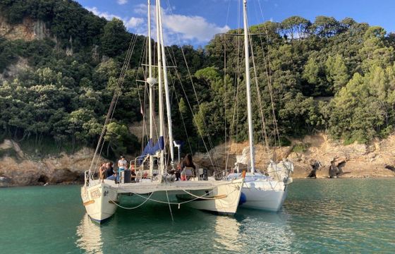 Catamaran LWB TIKI 38- Wharram 11.8m
