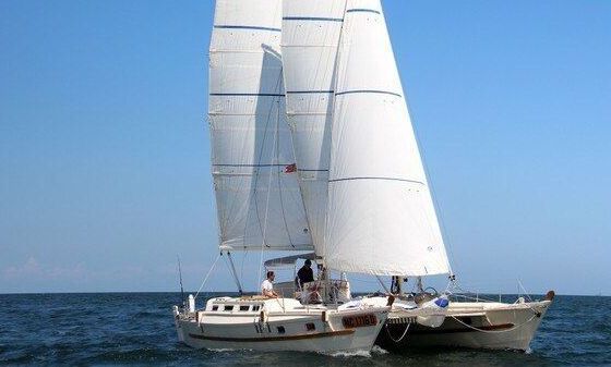 Catamaran LWB TIKI 38- Wharram 11.8m