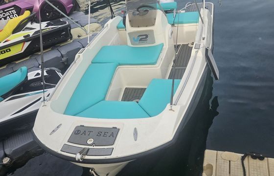 Boat without licence  V.2 boats V2 5.0