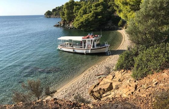 Motorboat Varsamis 1995 135hp