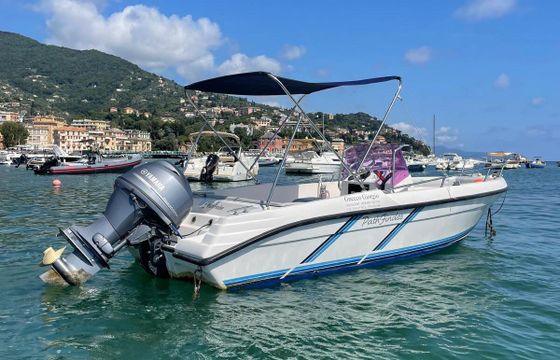 Boat without licence  Path Finder 5,40 40hp