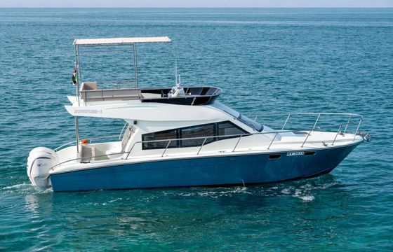 Motorboat Yamaha 40ft 600hp