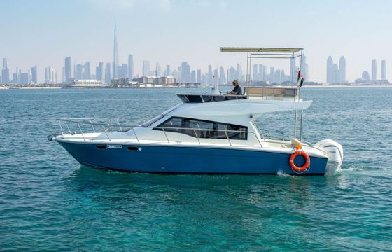Motorboat Yamaha 40ft 600hp
