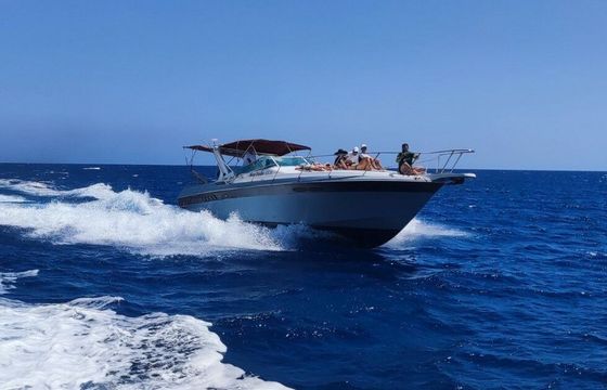 Motorboat WELLCRAFT GRANDSPORT 35 740hp
