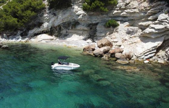 Boat without licence  Bayliner Element M15 15hp