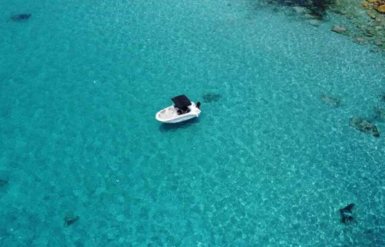 Boat without licence  Bayliner Element M15 15hp