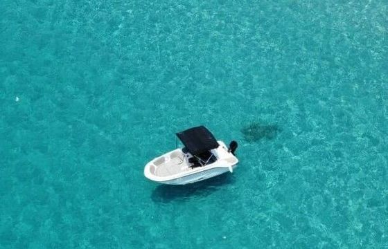 Boat without licence  Bayliner Element M15 15hp