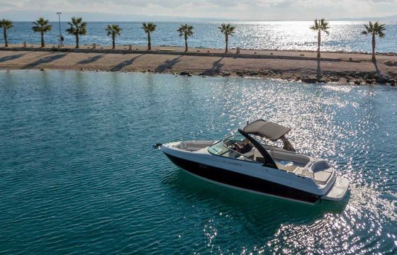 Motorboat Rinker 296 Captiva 220hp
