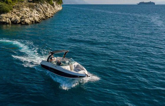 Motorboat Rinker 296 Captiva 220hp