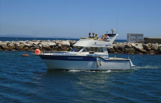 Motorboat RODMAN 1100 474hp