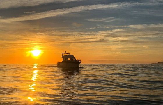 Motorboat RODMAN 1100 474hp