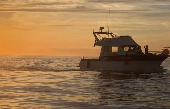 Motorboat RODMAN 1100 474hp